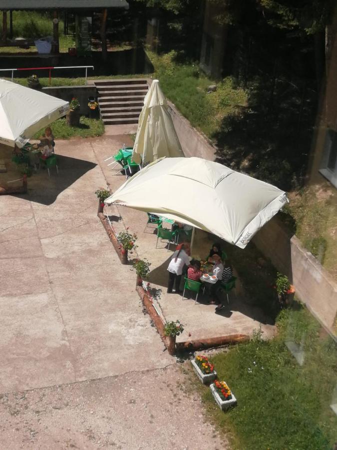 Hostel Cppi Vest Buşteni エクステリア 写真