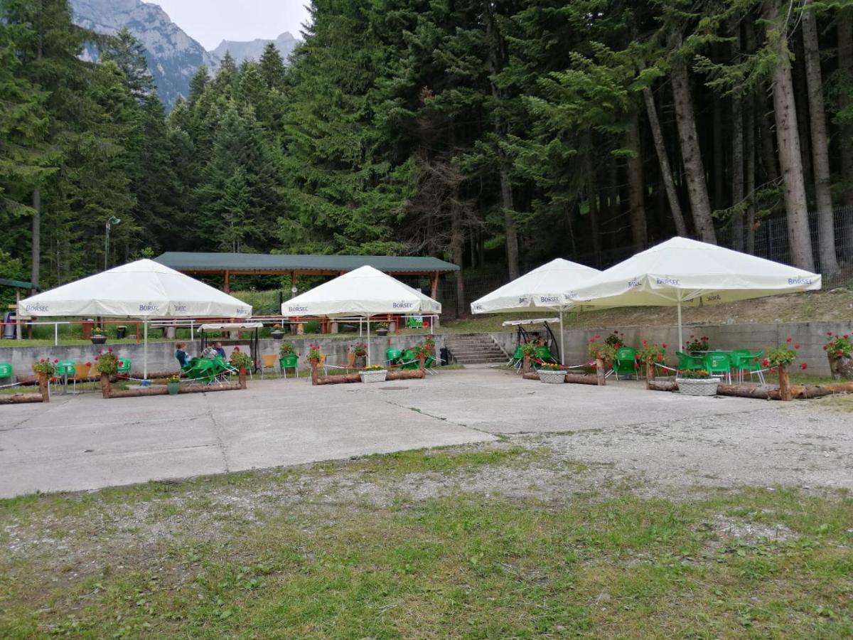 Hostel Cppi Vest Buşteni エクステリア 写真