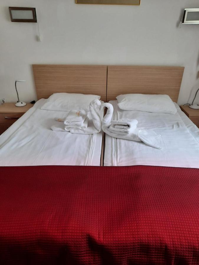 Hostel Cppi Vest Buşteni エクステリア 写真