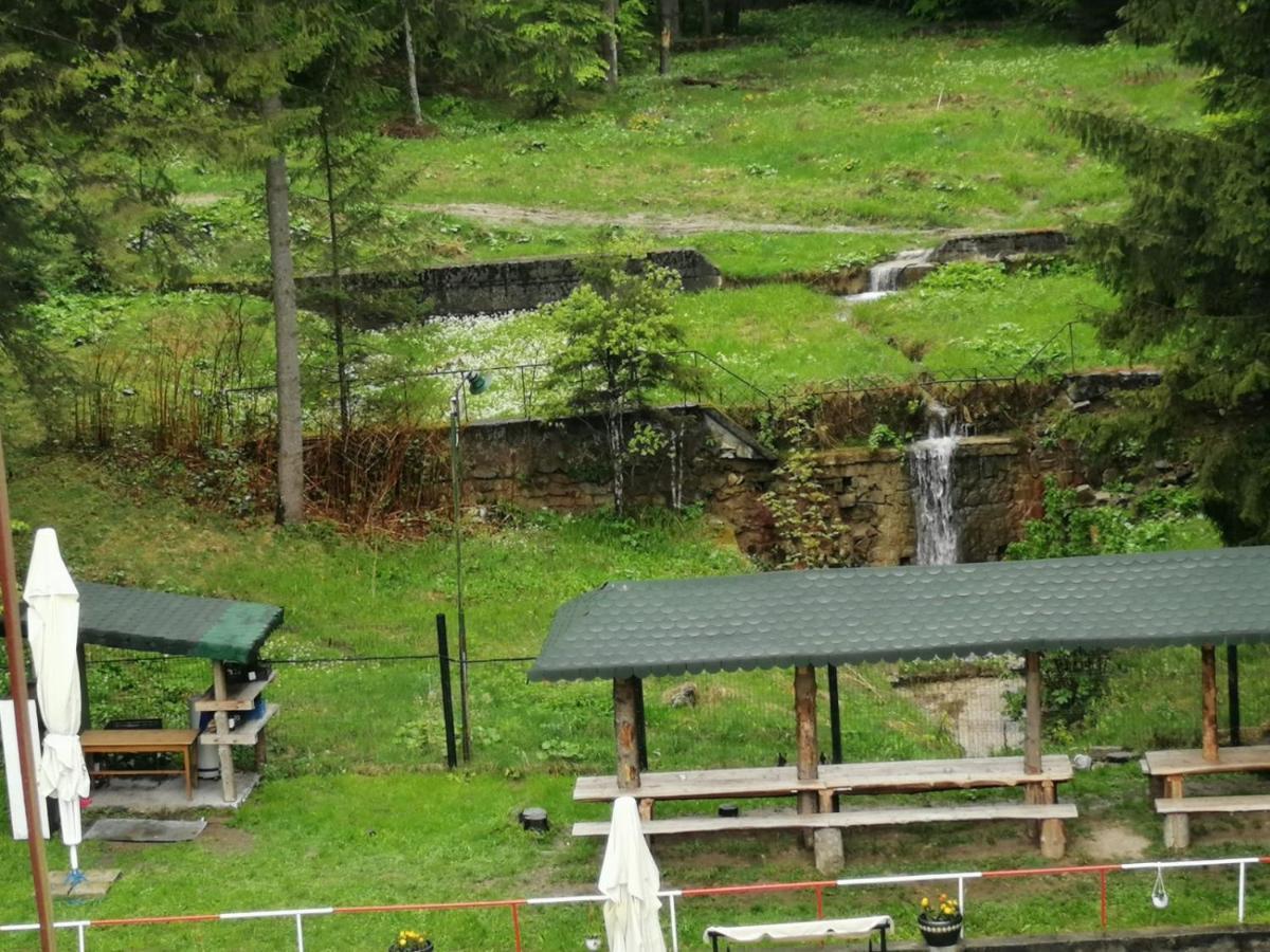 Hostel Cppi Vest Buşteni エクステリア 写真