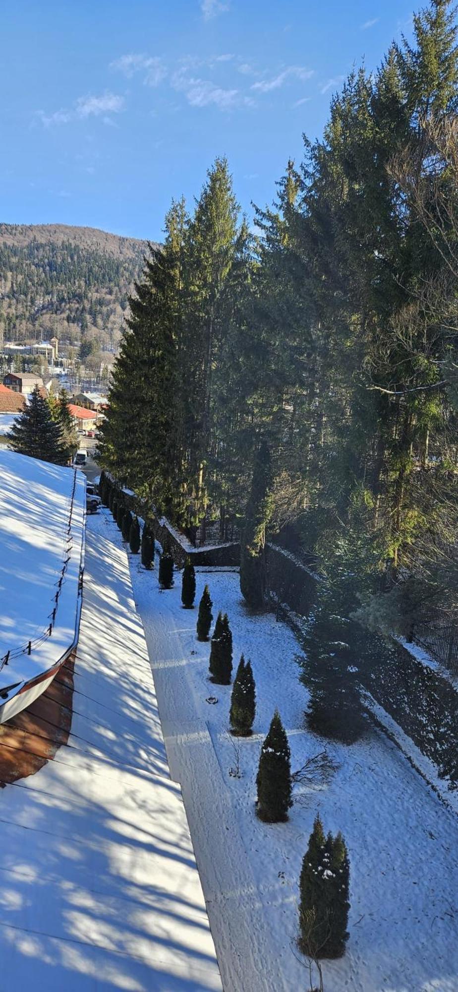 Hostel Cppi Vest Buşteni エクステリア 写真