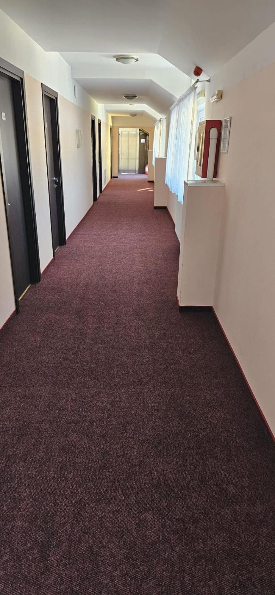 Hostel Cppi Vest Buşteni エクステリア 写真