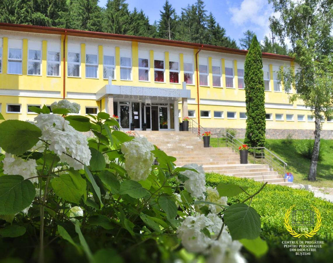Hostel Cppi Vest Buşteni エクステリア 写真