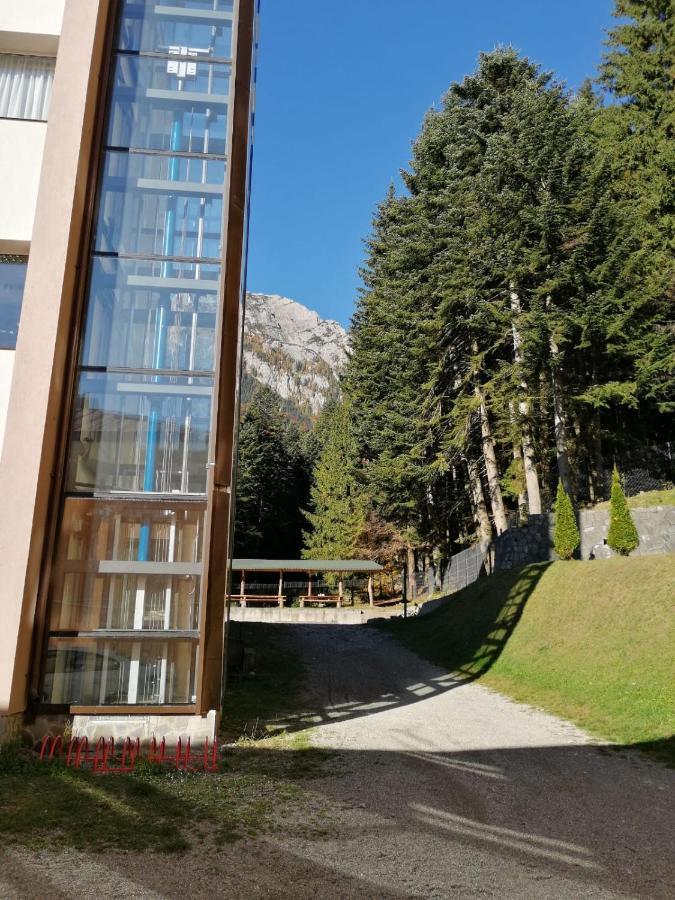 Hostel Cppi Vest Buşteni エクステリア 写真