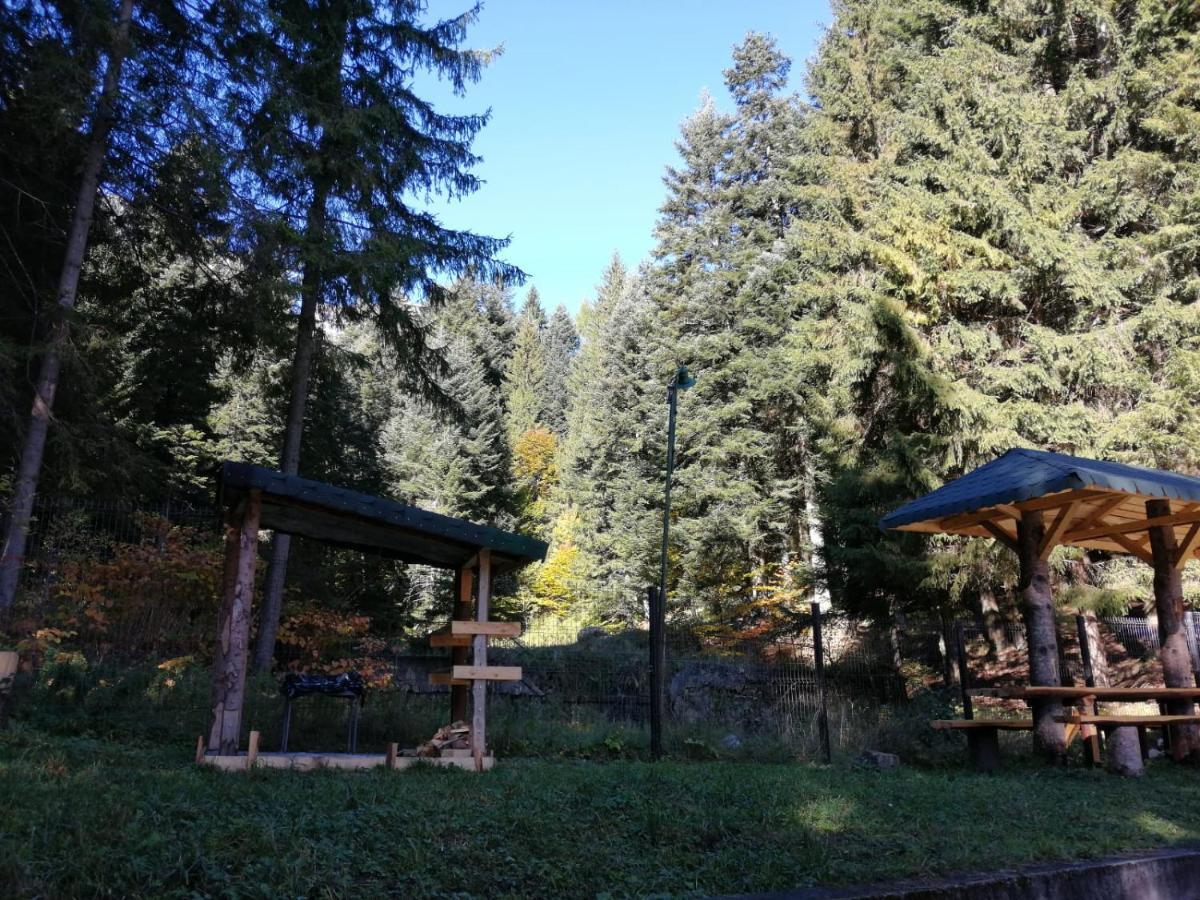 Hostel Cppi Vest Buşteni エクステリア 写真